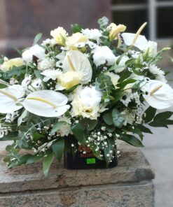 باکس گل کد 12