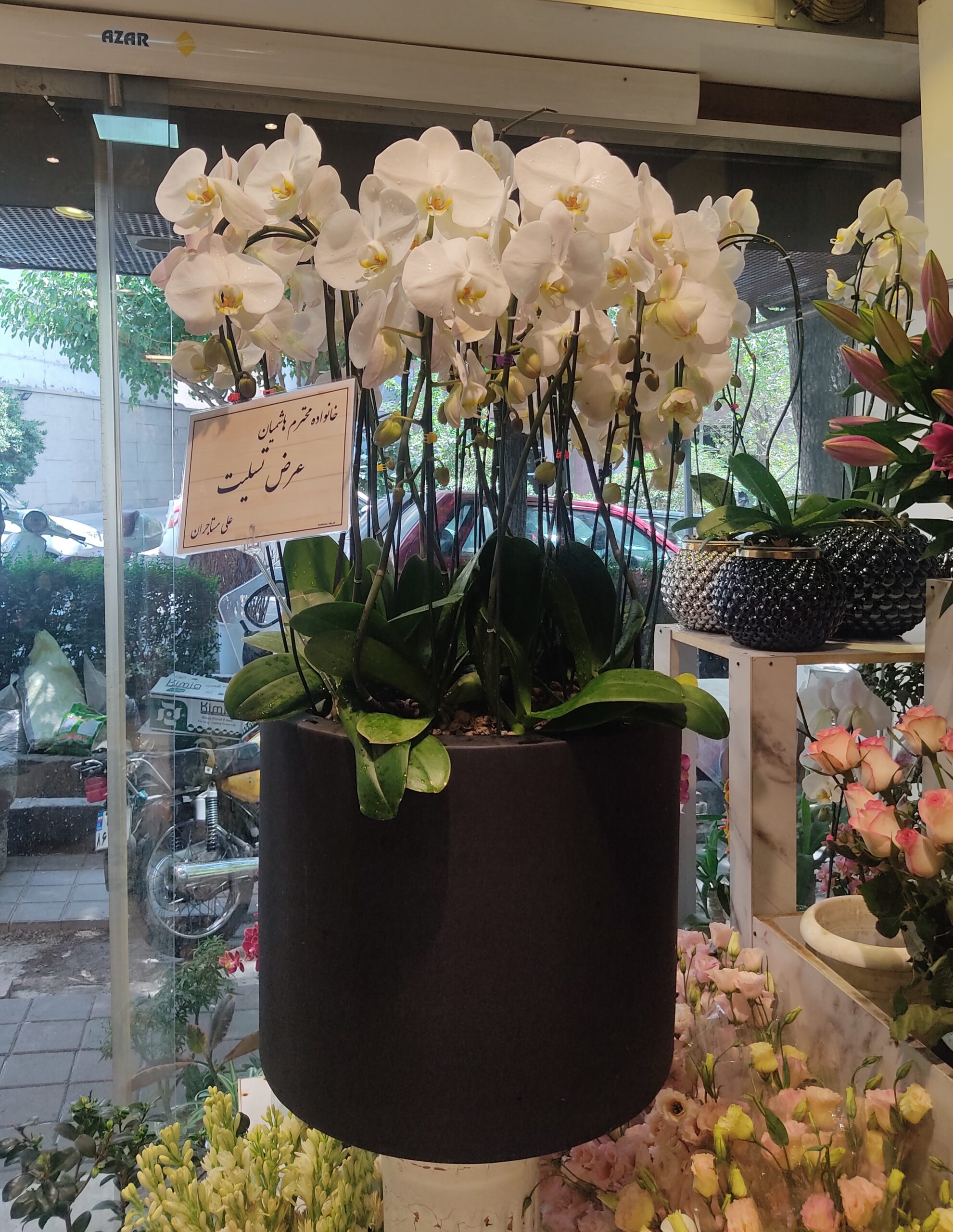 گلدان ارکیده کد 02