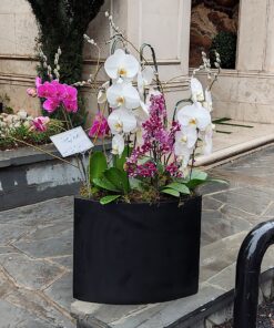 گلدان ارکیده کد 04