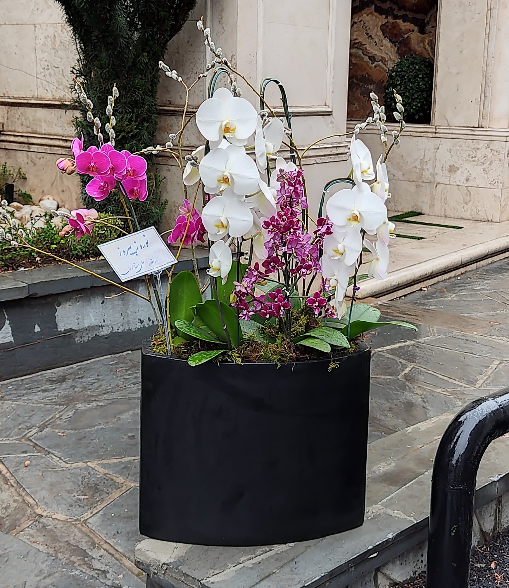 گلدان ارکیده کد 04