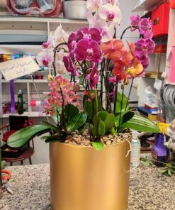گلدان ارکیده کد 05