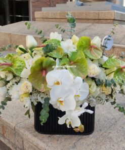 باکس گل کد 20