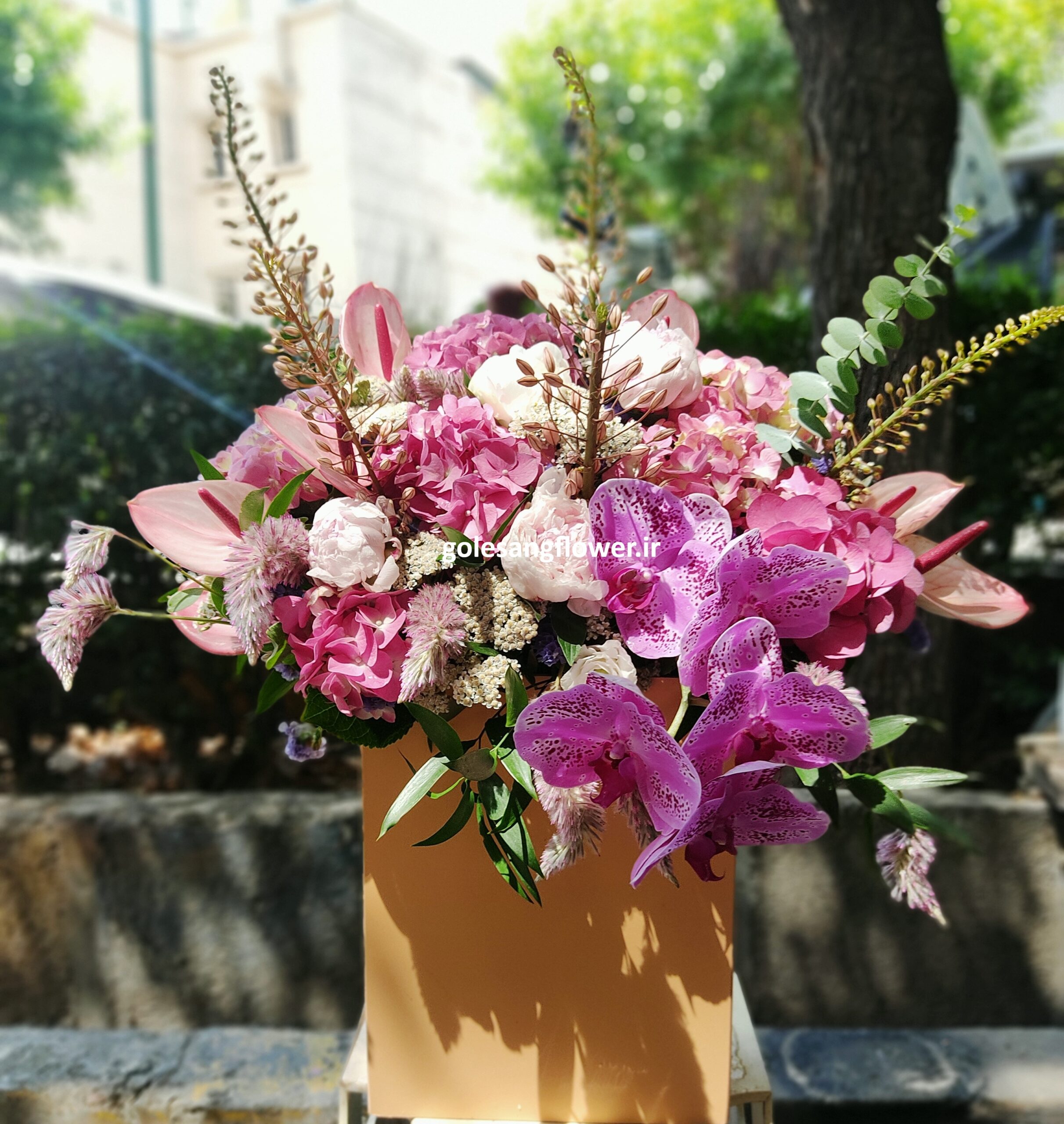 باکس گل کد 21