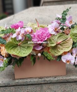 باکس گل کد 16