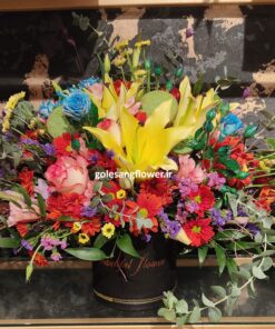 باکس گل کد 31