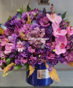 باکس گل کد 43