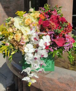 باکس گل کد 47